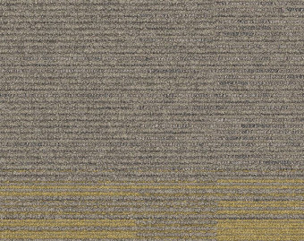 [300111135_2] Off Line - 104331 Mushroom/Mustard